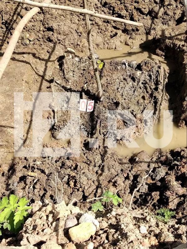 Останки 97 замученных красноармейцев обнаружили на месте концлагеря "Дулаг-102" в Ленинградской области Останки 97 замученных красноармейцев обнаружили на месте концлагеря "Дулаг-102" в Ленинградской области