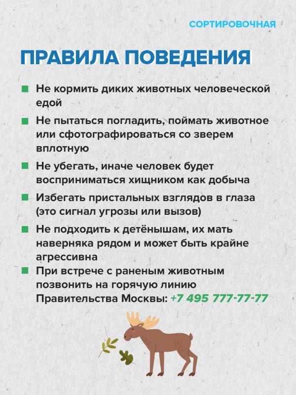 На территории московской части «Лосиного Острова» обитает 2635 видов животных На территории московской части «Лосиного Острова» обитает 2635 видов животных