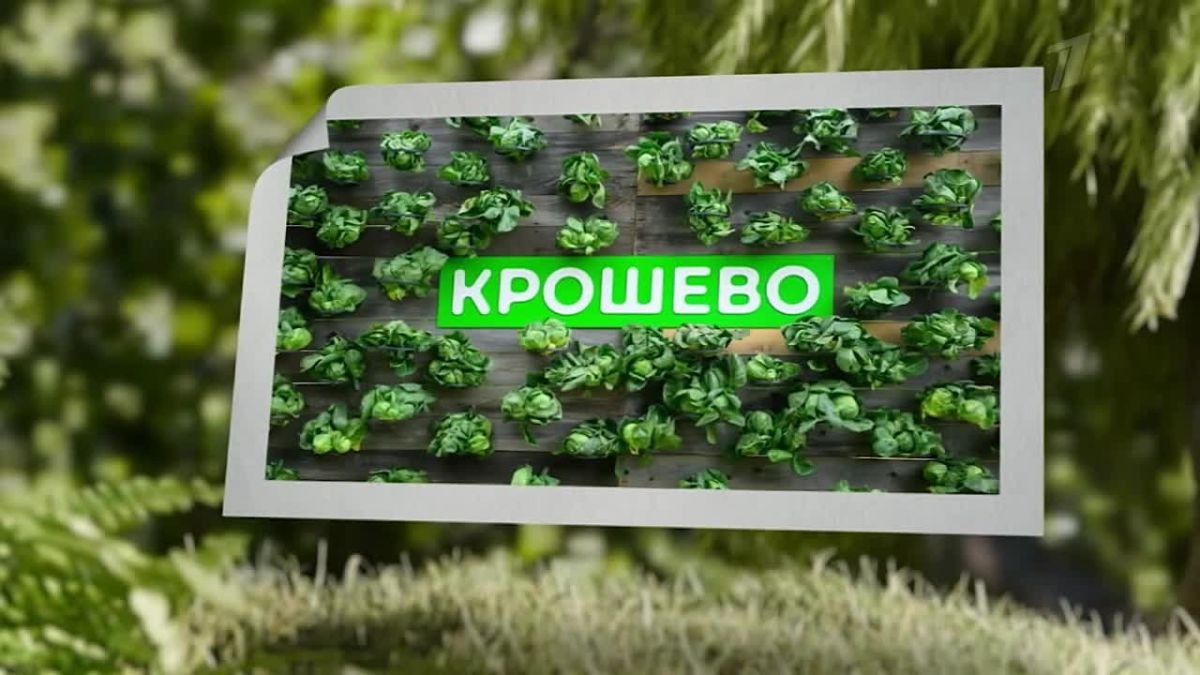 Проводим выходные вместе с Первым каналом!