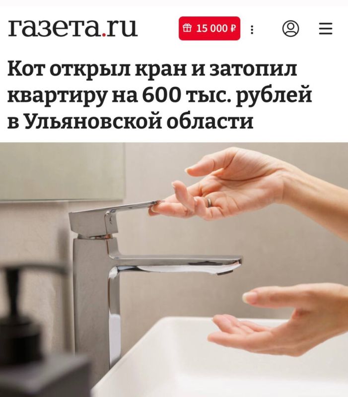 «Кот открыл кран и затопил квартиру на 600 тыс рублей в Ульяновской области»: Пушистый виновник потопа обошёлся хозяевам в целое состояние