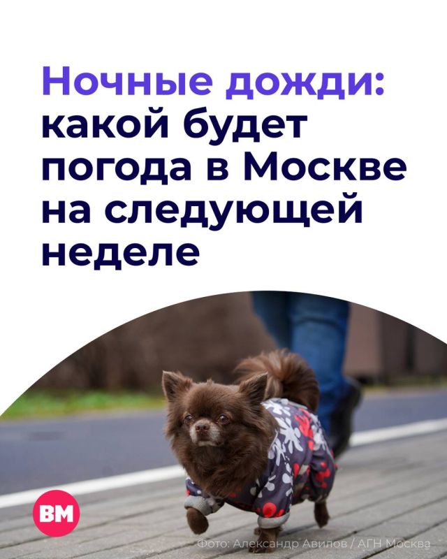 Новая неделя в столице начнется с почти летнего тепла, дождей и облачного неба