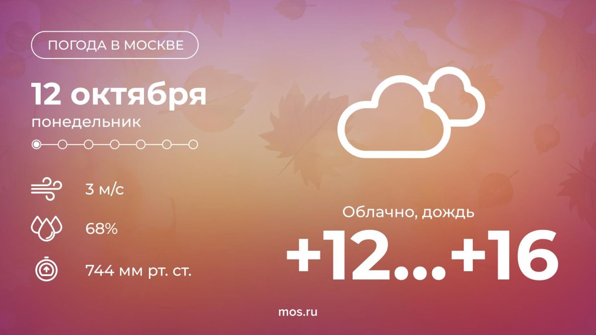 Сегодня в Москве будет облачно, возможен дождь
