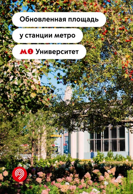 Яблони, лавочки и пешеходные дорожки: как благоустроили площадь у станции метро «Университет»