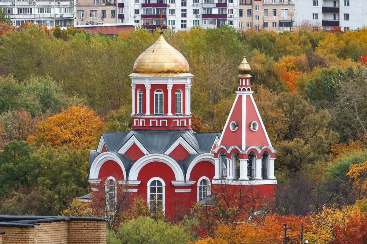 Сегодня отмечается День засыпающих деревьев Сегодня отмечается День засыпающих деревьев