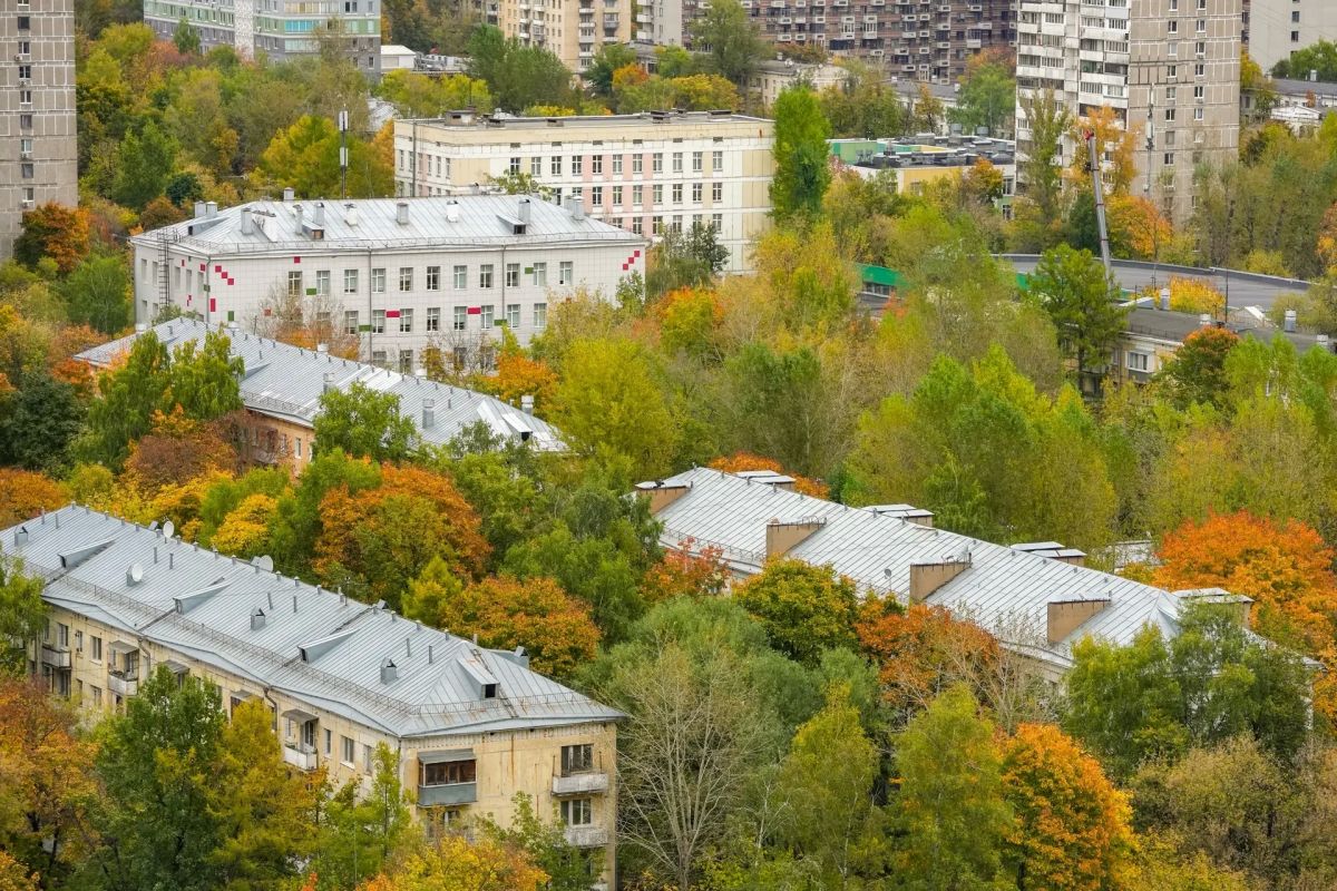 Сегодня отмечается День засыпающих деревьев Сегодня отмечается День засыпающих деревьев
