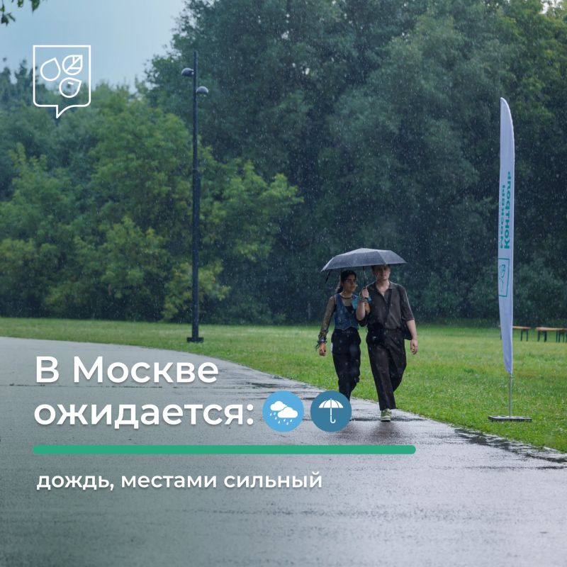 В Москве непогода. По прогнозам синоптиков, завтра с утра до вечера в отдельных районах столицы ожидается сильный дождь