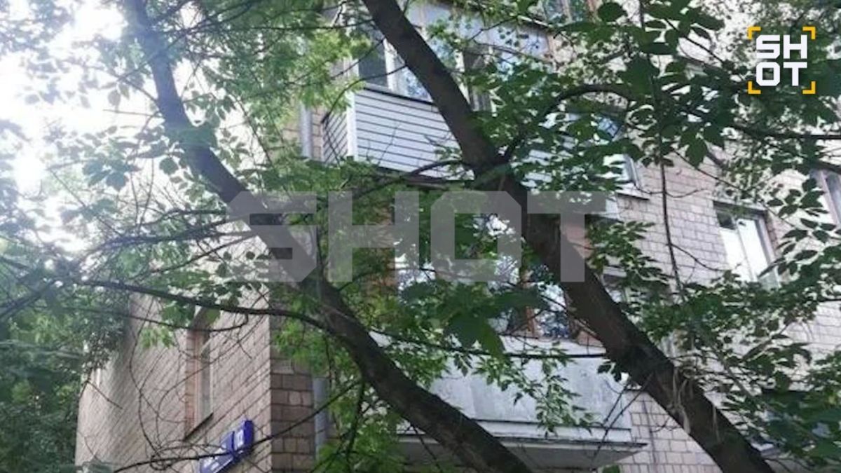 Москвичка-ипохондрик вернула себе трёшку за 11 миллионов «по схеме Долиной»