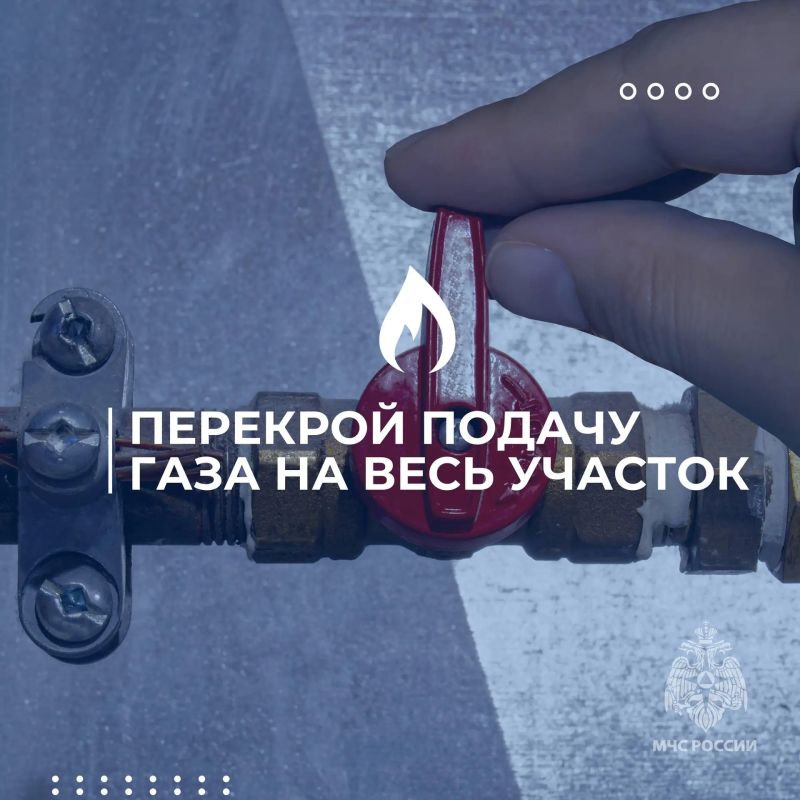 «Законсервируй» не только соленья, но и свою дачу «Законсервируй» не только соленья, но и свою дачу