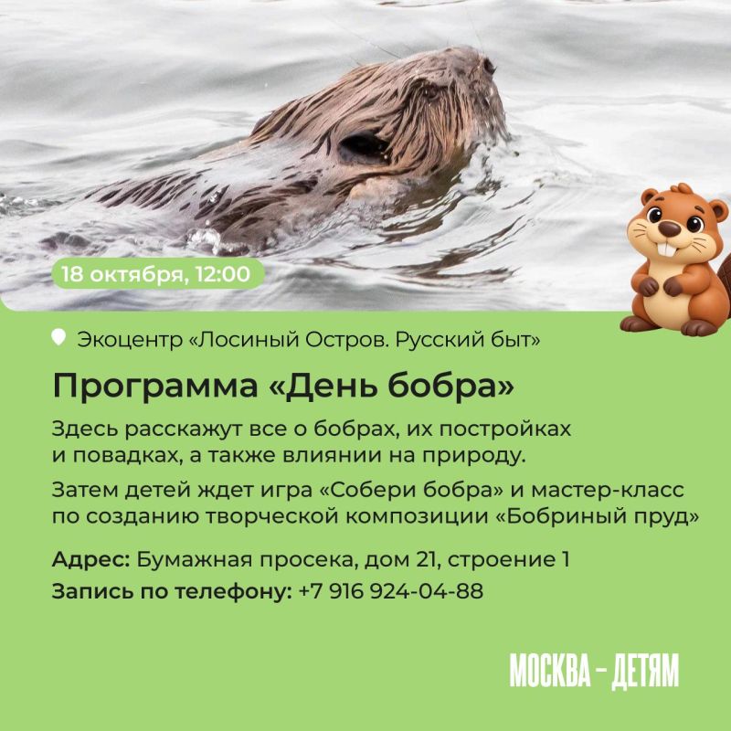 Правда ли, что бобры добры и на ужин они готовят полено? Узнать все об этих забавных грызунах приглашают московские экоцентры! Юных исследователей ждут лекции, квесты и мастер-классы Правда ли, что бобры добры и на ужин они готовят полено? Узнать все об этих забавных грызунах приглашают московские экоцентры! Юных исследователей ждут лекции, квесты и мастер-классы