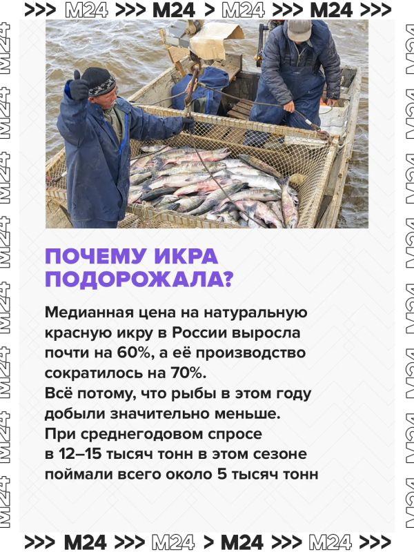 В России всё активнее штампуют имитацию красной икры – выпуск подскочил почти на 30% В России всё активнее штампуют имитацию красной икры – выпуск подскочил почти на 30%