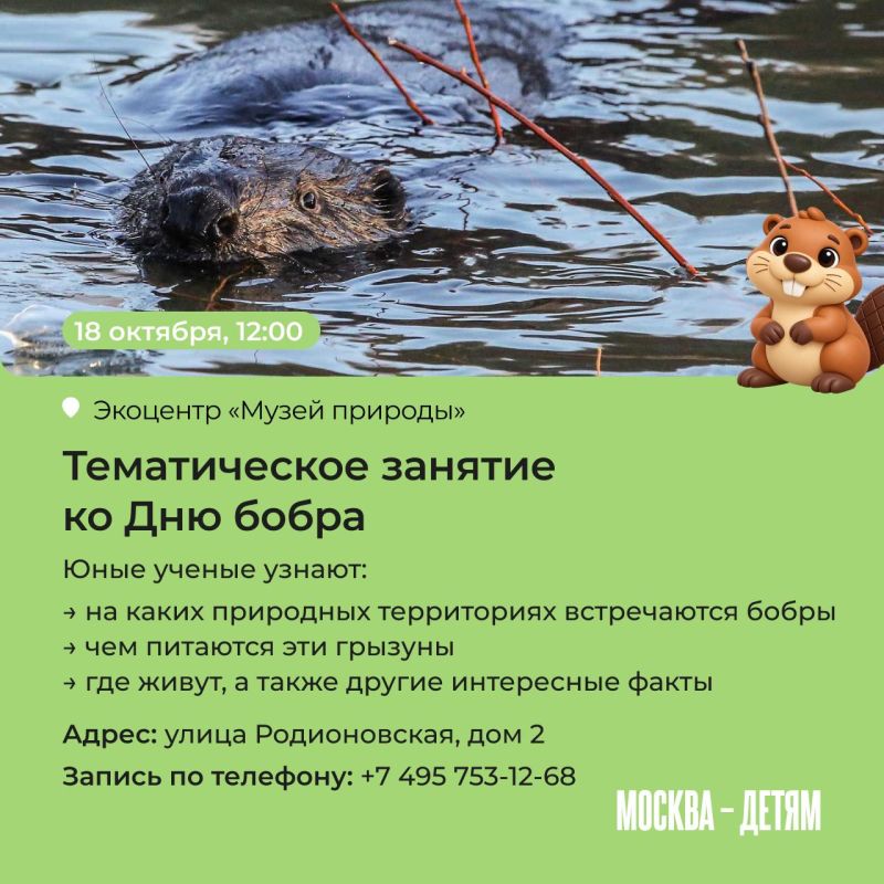Правда ли, что бобры добры и на ужин они готовят полено? Узнать все об этих забавных грызунах приглашают московские экоцентры! Юных исследователей ждут лекции, квесты и мастер-классы Правда ли, что бобры добры и на ужин они готовят полено? Узнать все об этих забавных грызунах приглашают московские экоцентры! Юных исследователей ждут лекции, квесты и мастер-классы