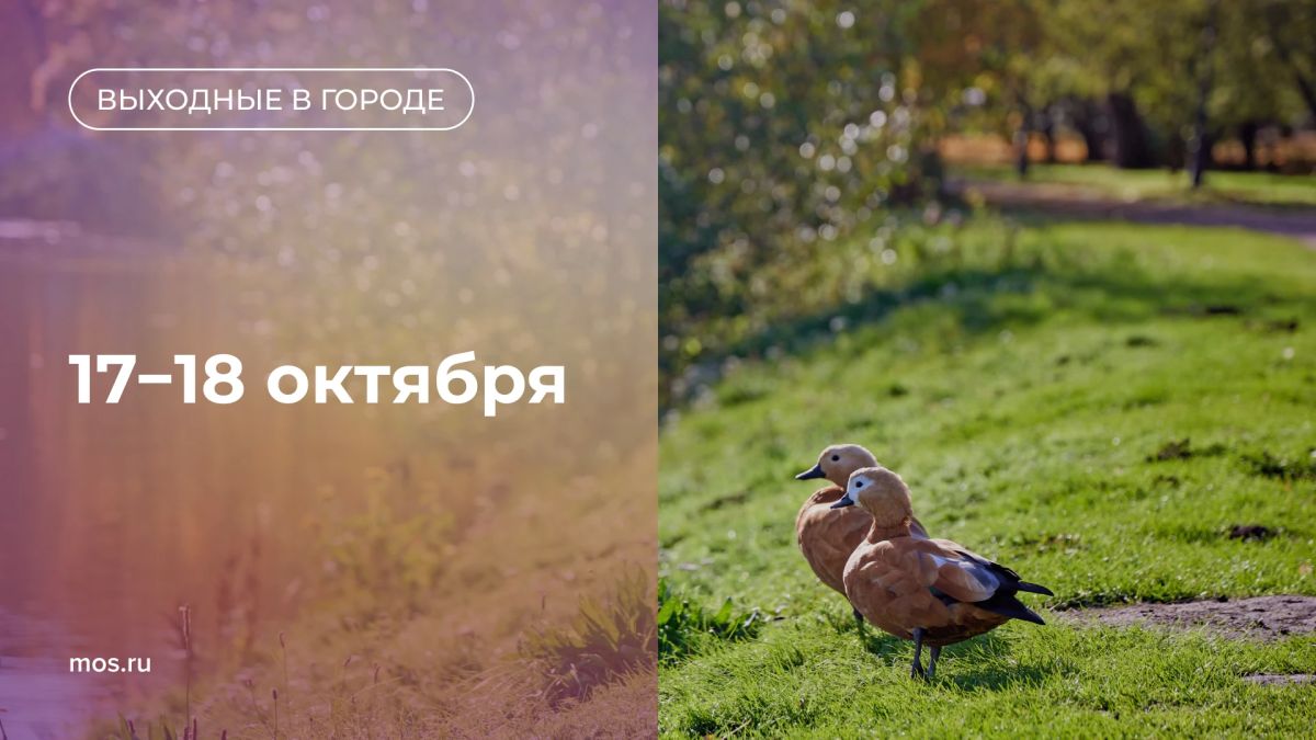 Завтра выходные! Куда можно сходить и чем заняться, читайте в нашем дайджесте