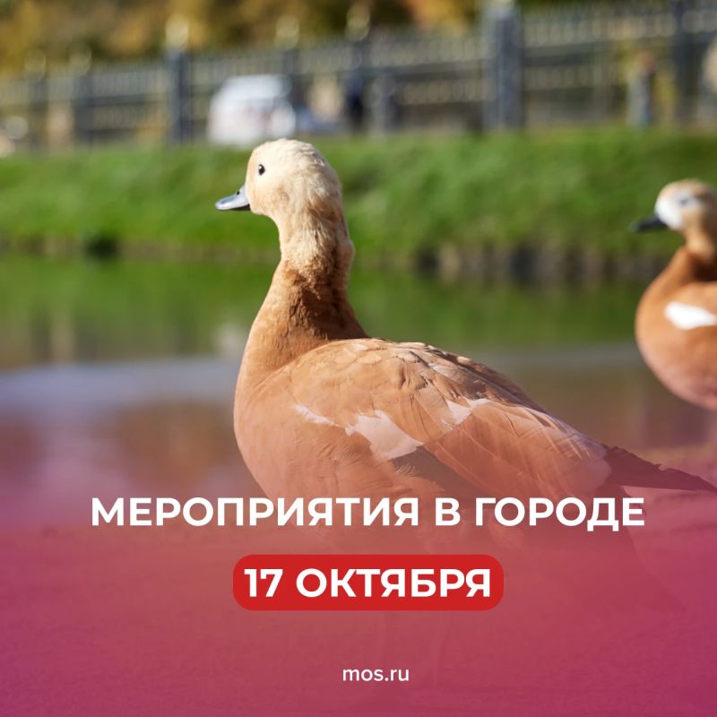 Чем заняться в субботу — собрали в нашем дайджесте интересные мероприятия