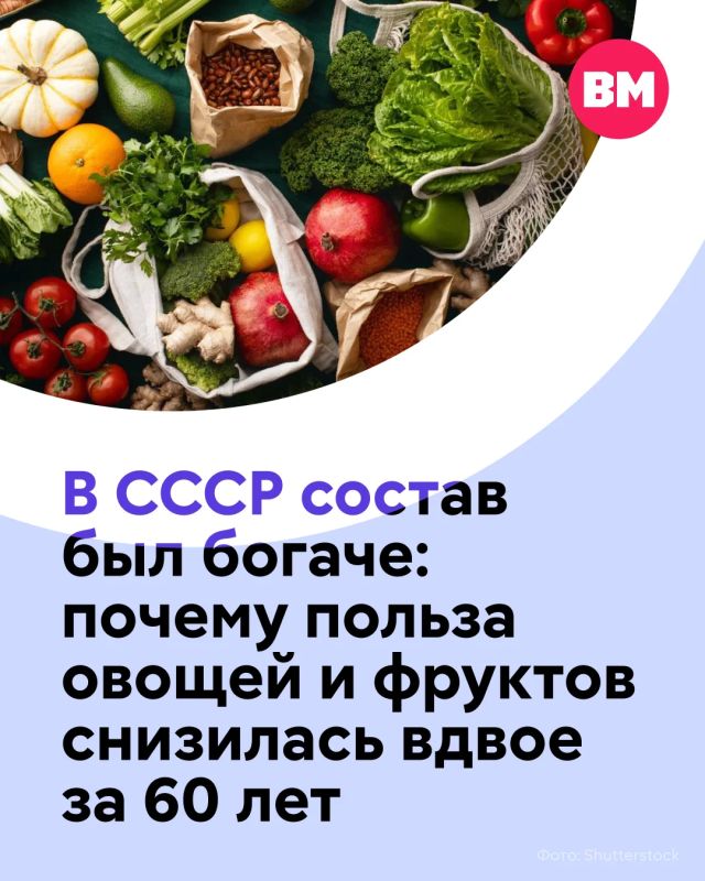 Раньше и травы была зеленее, и солнце ярче светило, и овощи с фруктами были полезнее