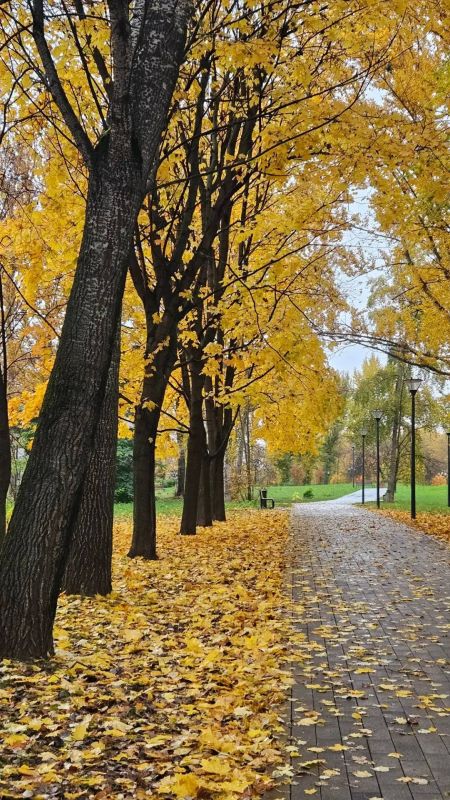АТМОСФЕРА: ловим последние тёплые лучи, осень пока балует Москву солнцем! АТМОСФЕРА: ловим последние тёплые лучи, осень пока балует Москву солнцем!
