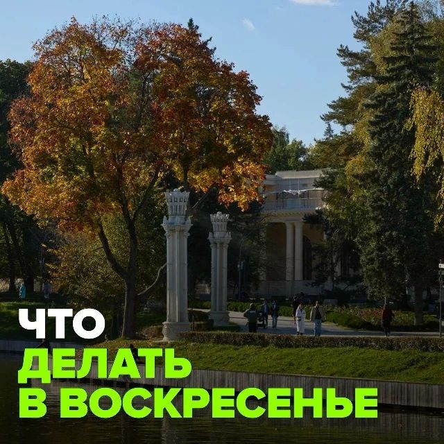Устраиваем себе добровольные эмоциональные качели: сначала гладим животных на ферме, а потом трясемся от страха в кино