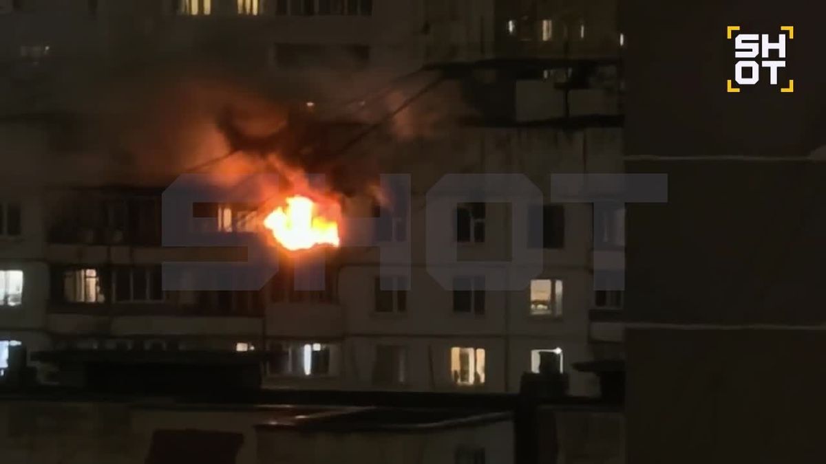 Восемь породистых собак шитцу погибли в страшном пожаре в Москве