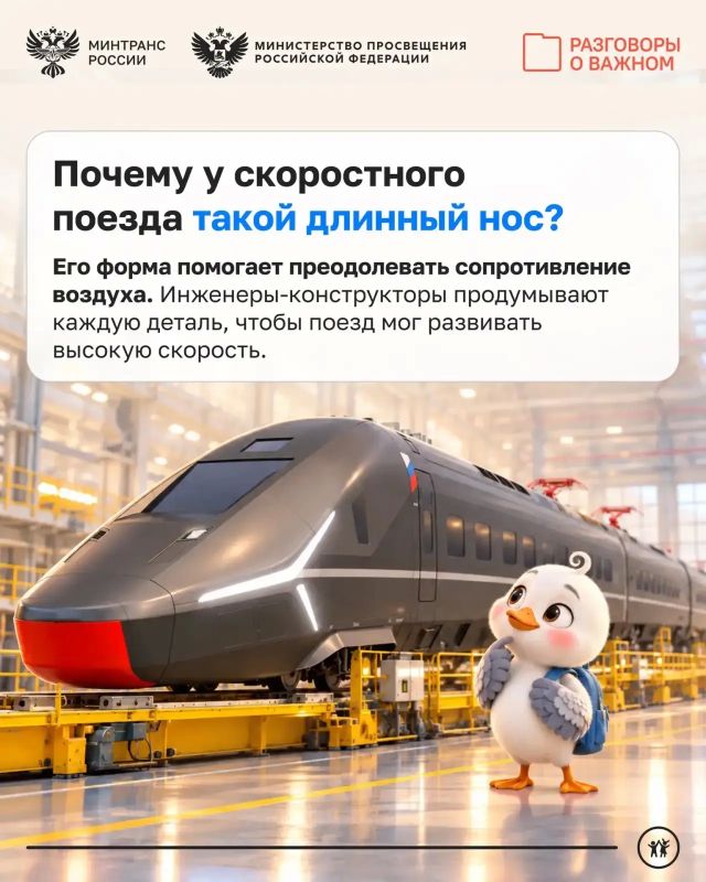 Наш Пеликаша Тим — парень дружелюбный Наш Пеликаша Тим — парень дружелюбный