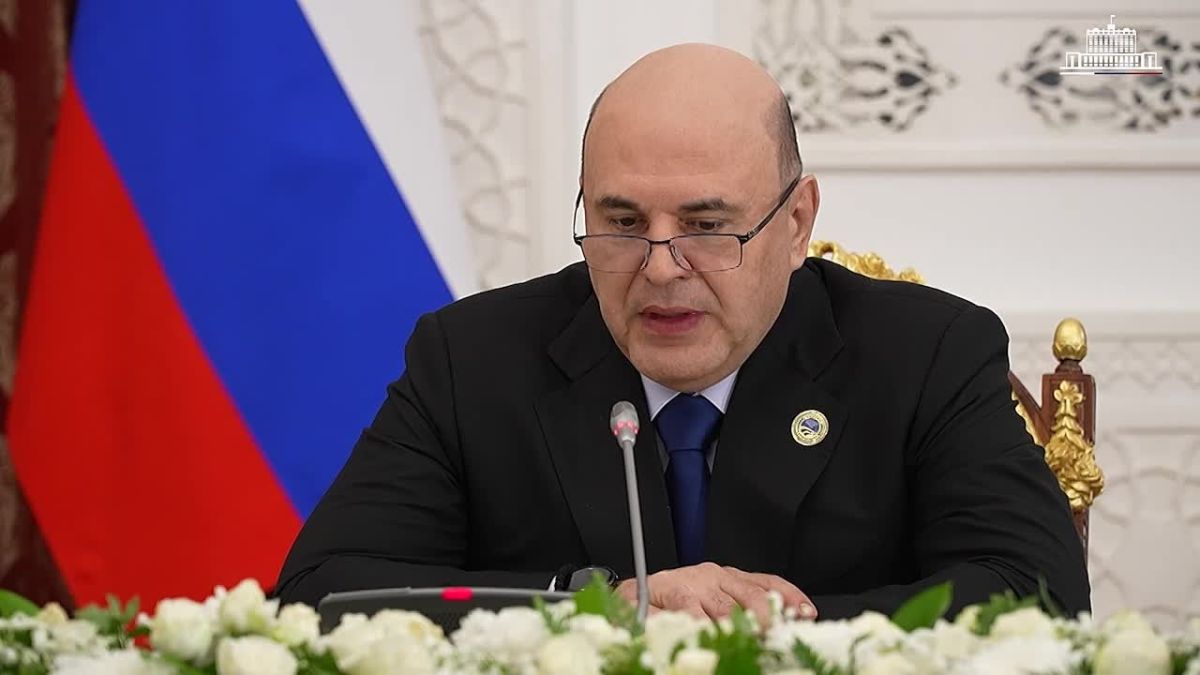 Михаил Мишустин встретился с первым вице-президентом Ирана Мохаммадом Резой Арефом
