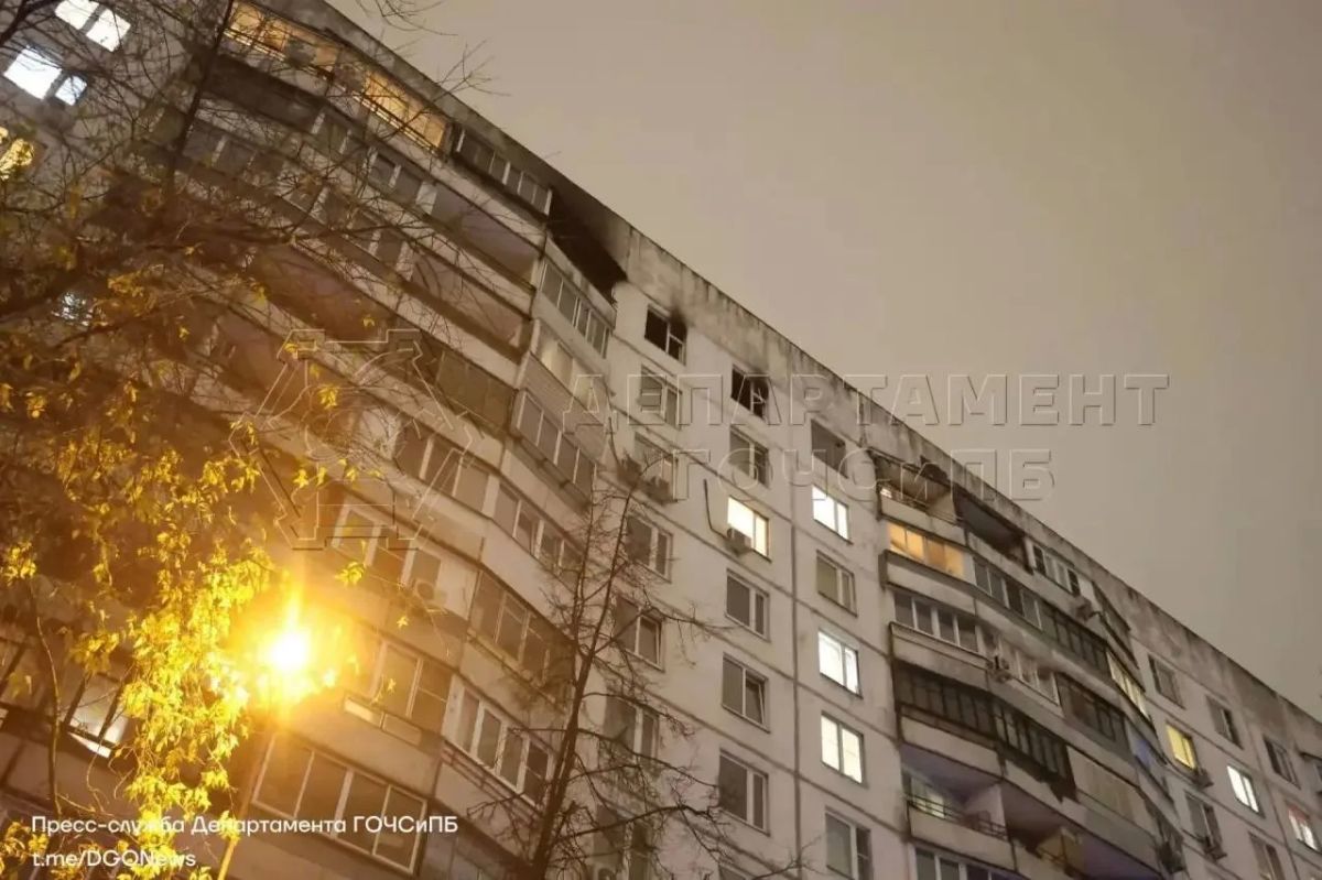 Восьмь собак породы ши-тцу погибли при пожаре в в 1-м Стрелецком переулке