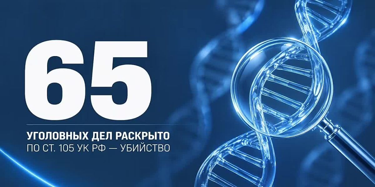 Дела прошлых лет: что раскрыл столичный СК за девять месяцев