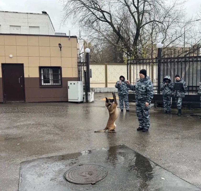 Увидеть, попробовать, узнать: школьники открыли для себя мир полицейской службы Увидеть, попробовать, узнать: школьники открыли для себя мир полицейской службы
