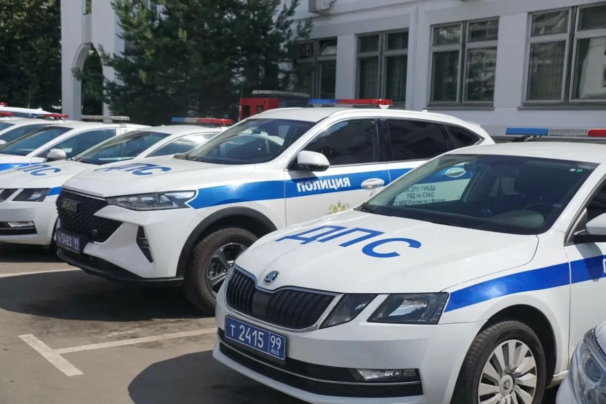 Более 200 граммов кокаина не доехали до покупателей: столичные полицейские пресекли сбыт крупной партии наркотиков