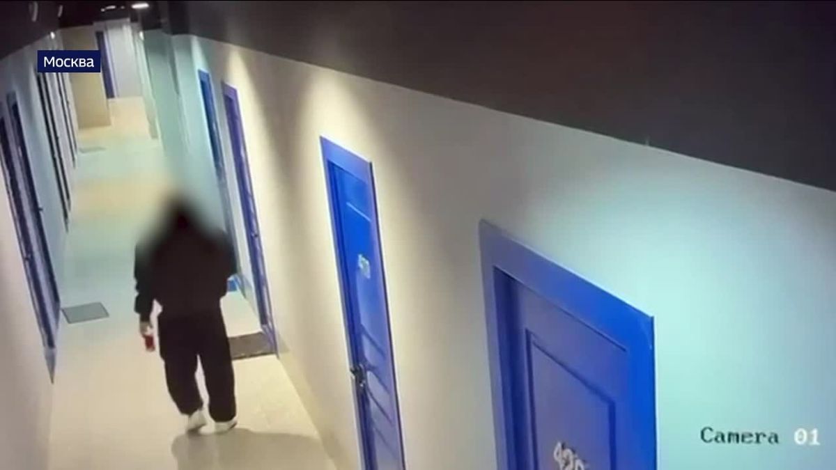 Пришел мириться и погиб. В Москве девушка зарезала своего бывшего ухажёра