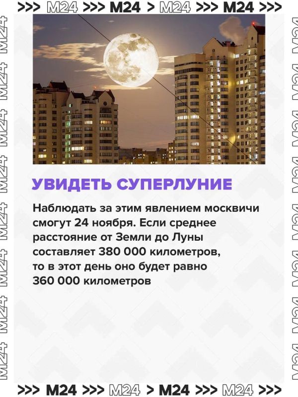 Три метеорных потока и суперлуние смогут увидеть москвичи в ноябре Три метеорных потока и суперлуние смогут увидеть москвичи в ноябре