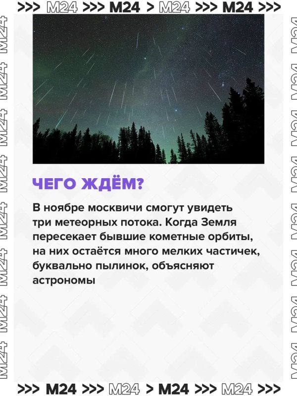 Три метеорных потока и суперлуние смогут увидеть москвичи в ноябре Три метеорных потока и суперлуние смогут увидеть москвичи в ноябре