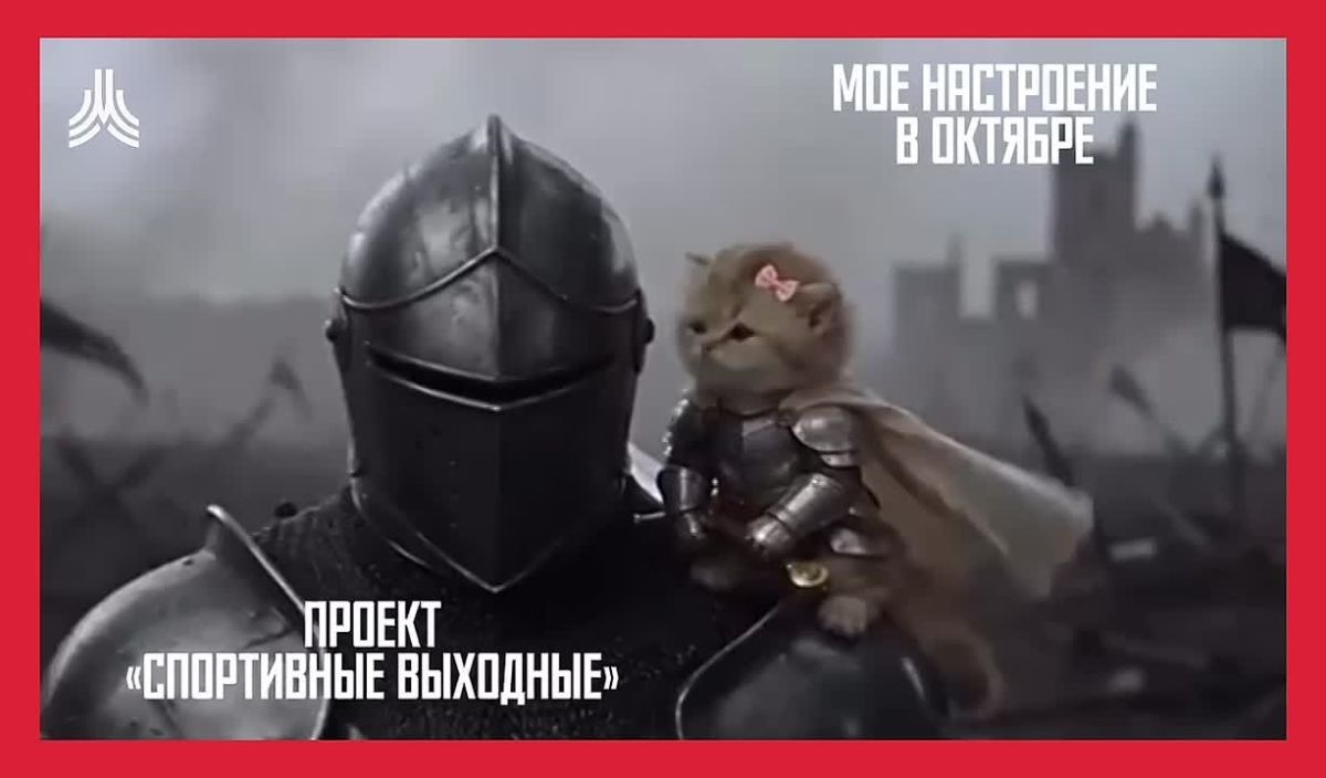 Иногда чувствуешь себя беззащитным котенком…