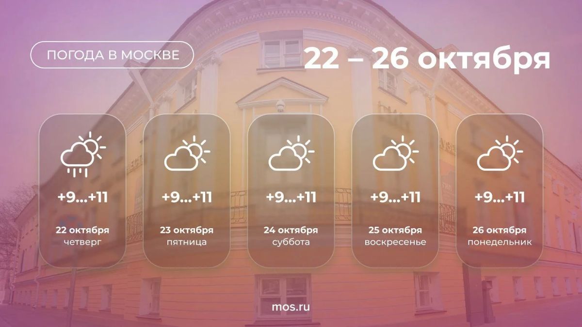 В Москве до конца недели сохранится теплая для середины осени погода