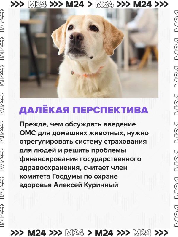 ОМС для животных должно повысить качество ветеринарной помощи и снизить финансовую нагрузку на владельцев питомцев ОМС для животных должно повысить качество ветеринарной помощи и снизить финансовую нагрузку на владельцев питомцев