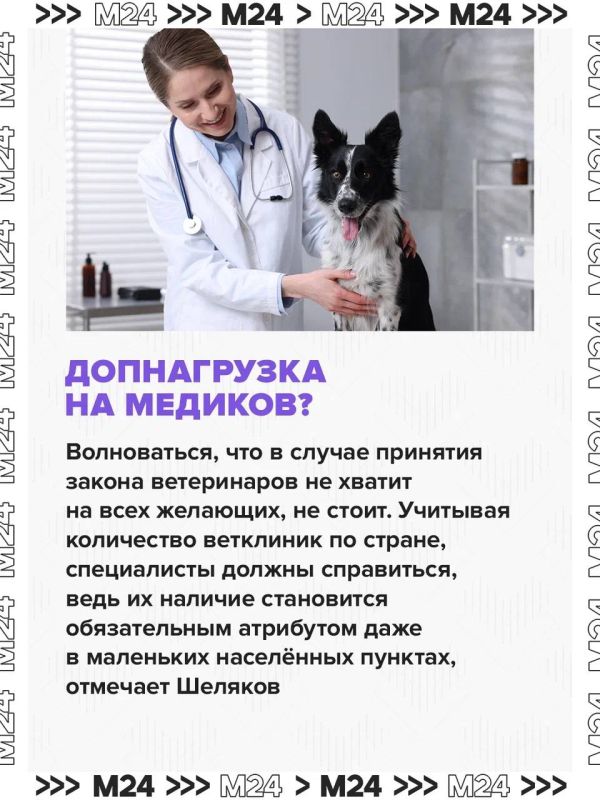 ОМС для животных должно повысить качество ветеринарной помощи и снизить финансовую нагрузку на владельцев питомцев ОМС для животных должно повысить качество ветеринарной помощи и снизить финансовую нагрузку на владельцев питомцев