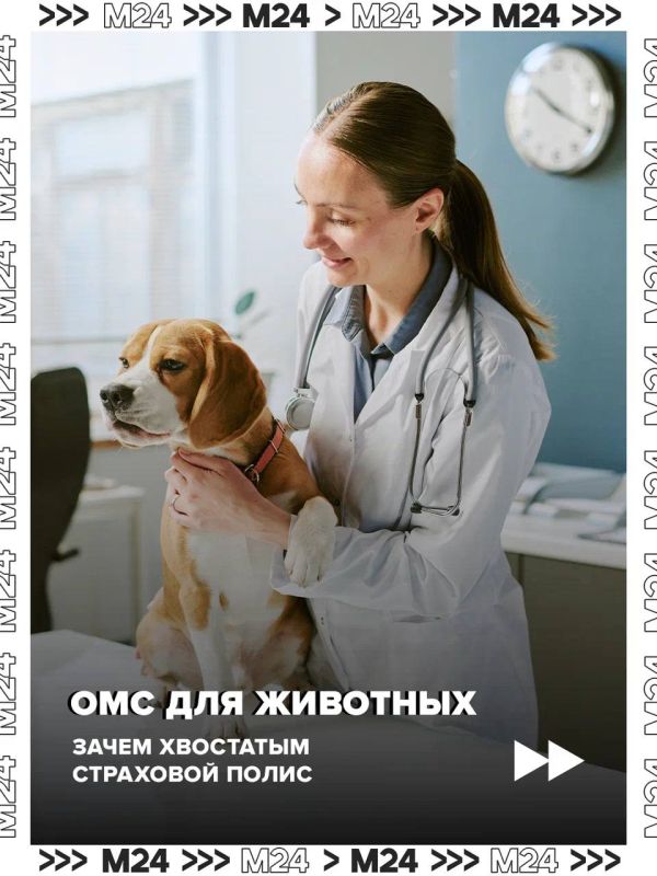 ОМС для животных должно повысить качество ветеринарной помощи и снизить финансовую нагрузку на владельцев питомцев