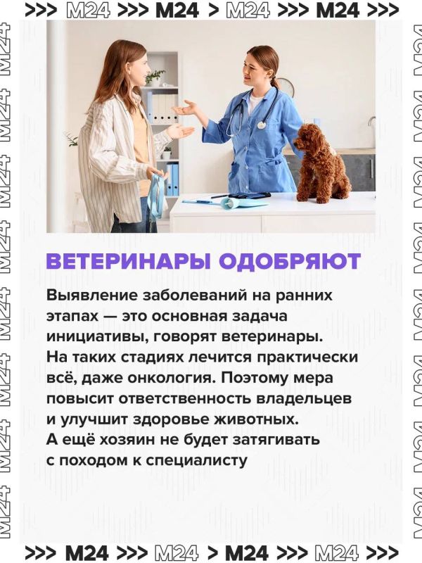 ОМС для животных должно повысить качество ветеринарной помощи и снизить финансовую нагрузку на владельцев питомцев ОМС для животных должно повысить качество ветеринарной помощи и снизить финансовую нагрузку на владельцев питомцев