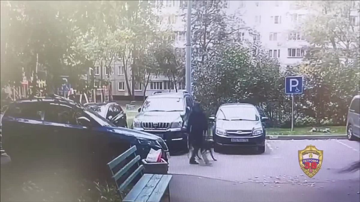 Собачья месть: полицейские столицы задержали подозреваемого в повреждении автомобиля