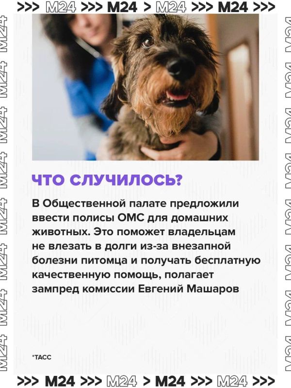 ОМС для животных должно повысить качество ветеринарной помощи и снизить финансовую нагрузку на владельцев питомцев ОМС для животных должно повысить качество ветеринарной помощи и снизить финансовую нагрузку на владельцев питомцев