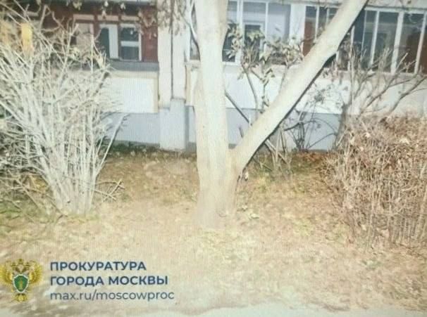 Малолетнего ребёнка обнаружили одного возле жилого дома в Зеленограде вечером