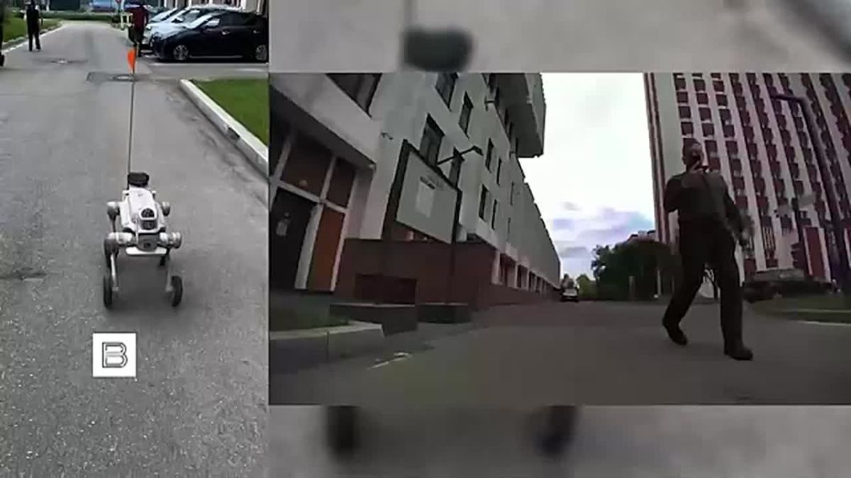 В столичном районе Покровское-Стрешнево по улицам гуляют роботы-собаки