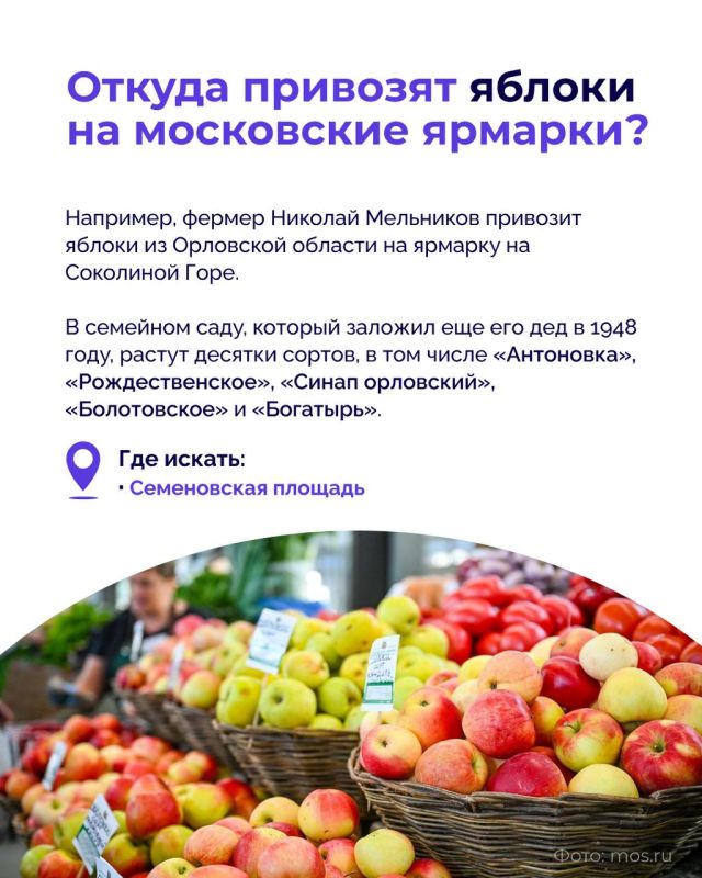 Осень щедра на урожай, и московские ярмарки наполняются сезонными продуктами из разных регионов Осень щедра на урожай, и московские ярмарки наполняются сезонными продуктами из разных регионов