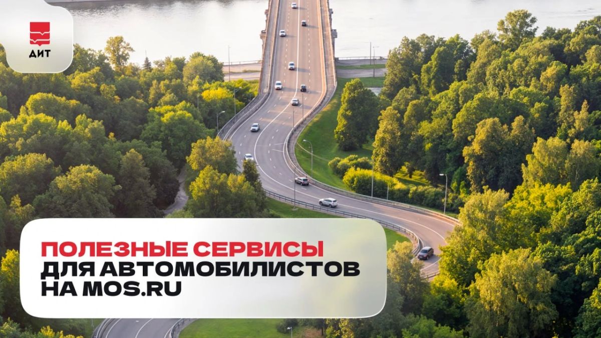 Ко дню автомобилиста собрали полезные цифровые сервисы mos.ru, которые помогают водителям экономить время и решать повседневные вопросы онлайн