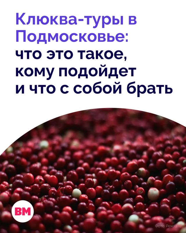 Оригинальным способом провести время на природе стали