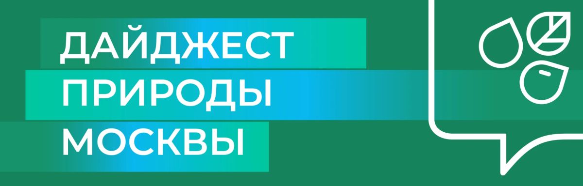 Дайджест Природы Москвы. Собрали для вас самые интересные эконовости этой недели