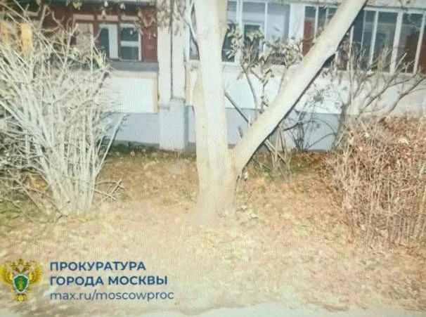 В Зеленограде во дворе жилого дома обнаружили брошенного младенца