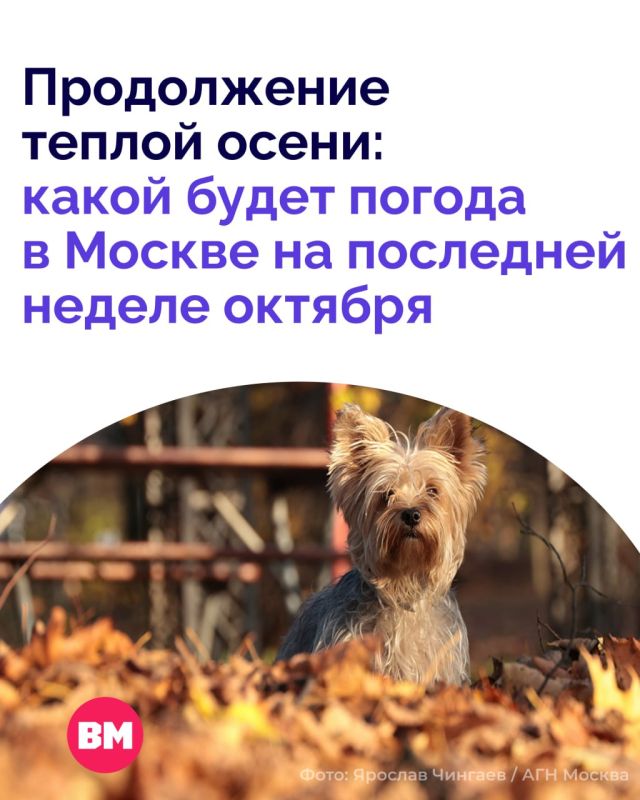 В эти выходные столица бьет температурные рекорды: такого тепла в октябре не фиксировали последние 103 года!