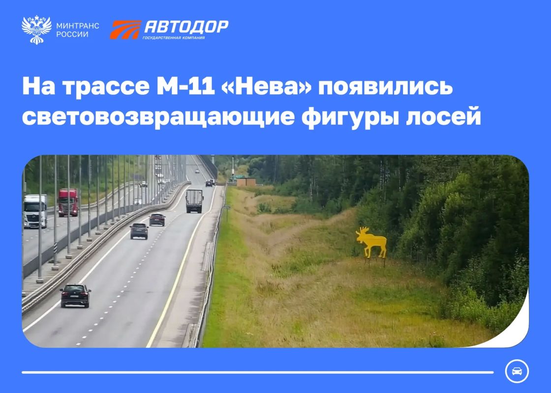 На М-11 «Нева» появились световозвращающие фигуры лосей