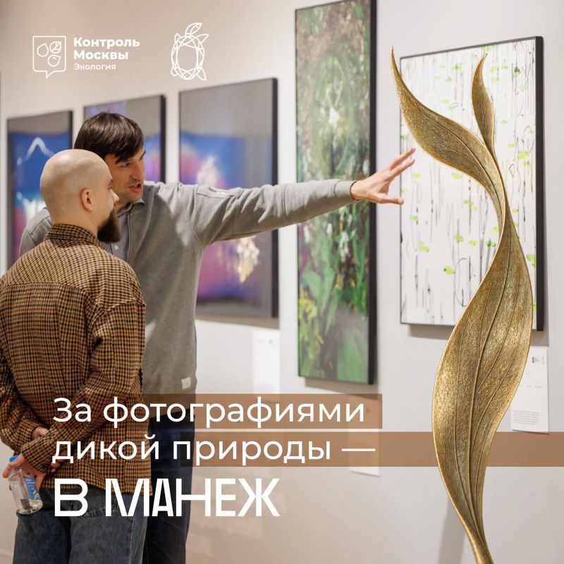 На фестивале «Золотая черепаха» ИИ оживит фото дикой природы