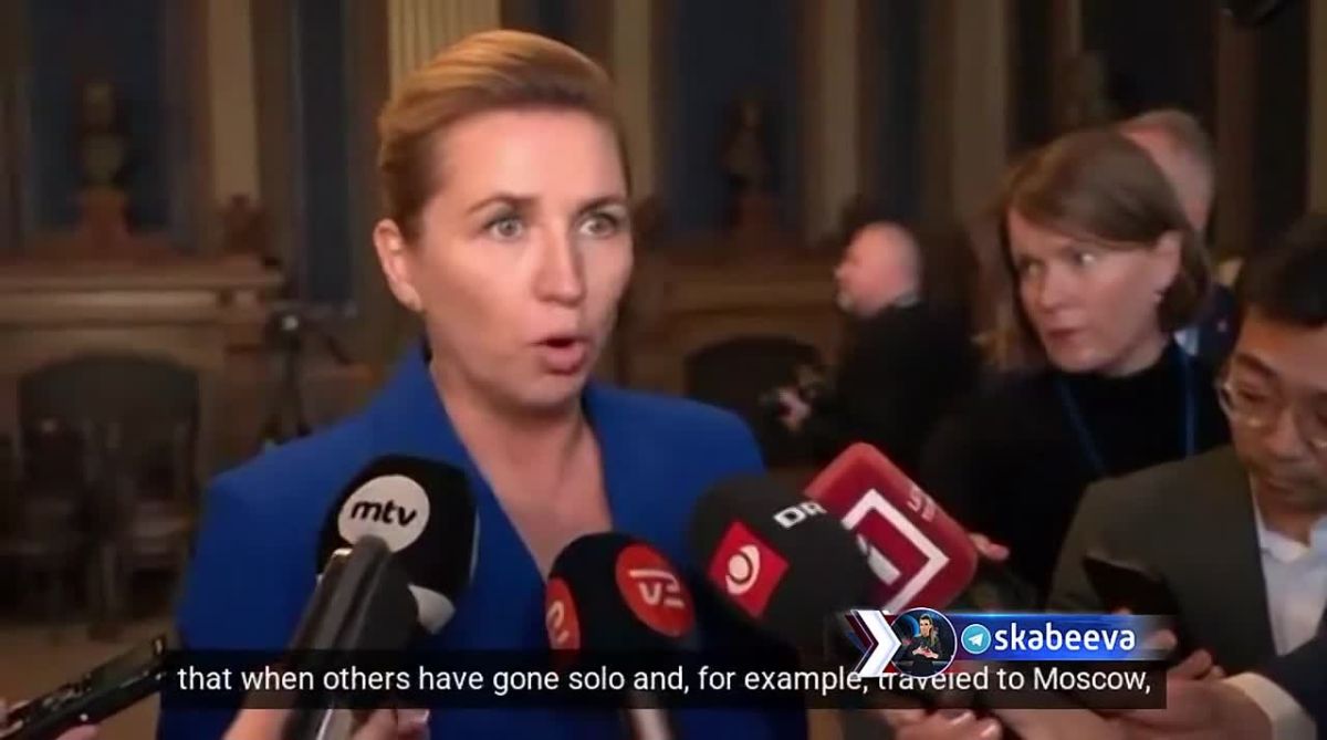 ‘Честно говоря, я не понимаю, чего, по мнению этих двух стран, можно добиться таким шагом’ — премьер Дании Фредериксен осудила Стубба и Стере за звонок Путину