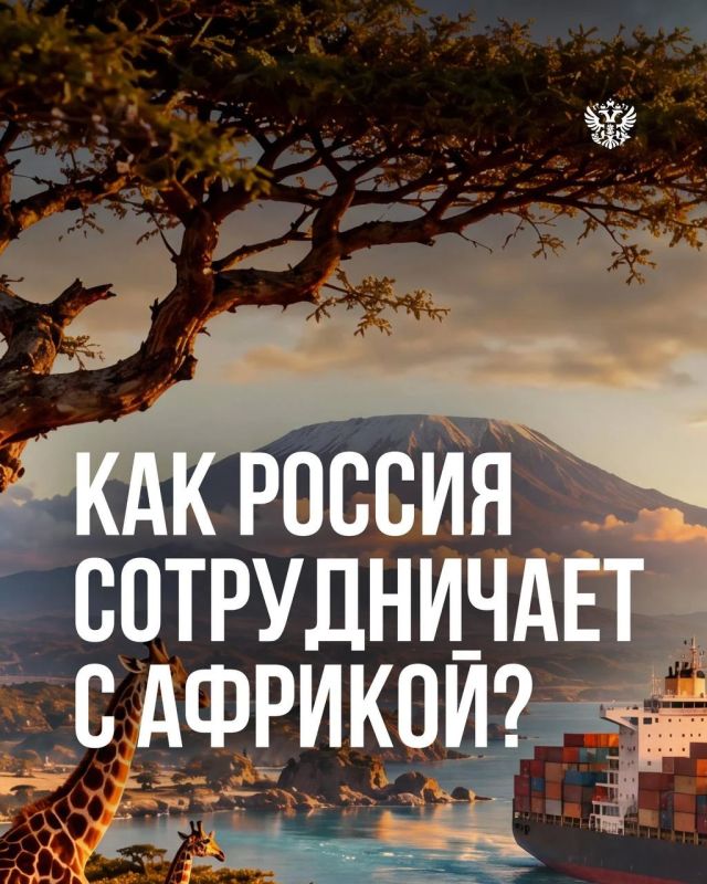 Как развиваются экономические связи с Африкой?